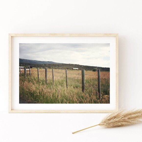 Collbran Colorado Farmland